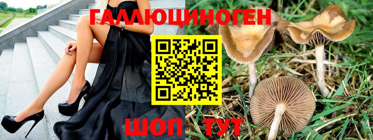 Глазов  Псилоцибиновые грибы мухоморы  Вход с VPN 