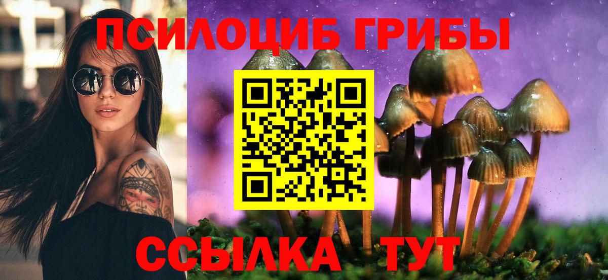Псилоцибиновые грибы GOLDEN TEACHER Глазов